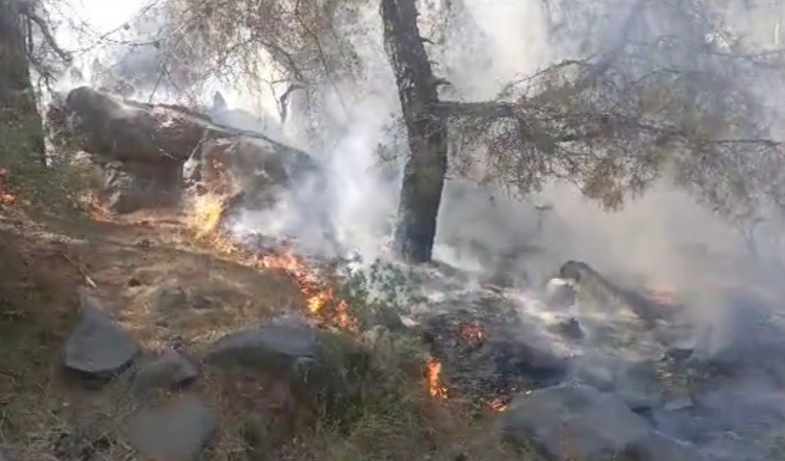 Mersin’de orman yangını, 4 dönüm zarar gördü
