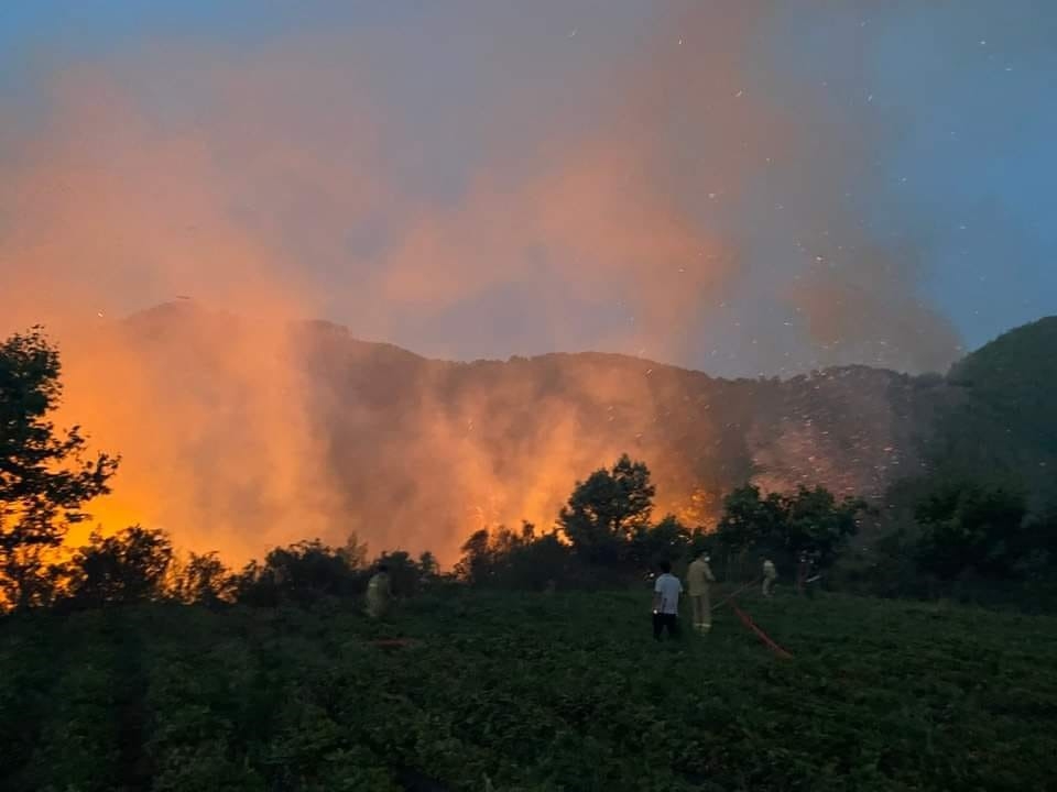 Mersin’de orman yangını havadan ve karadan müdahale ile kontrol altına alındı

