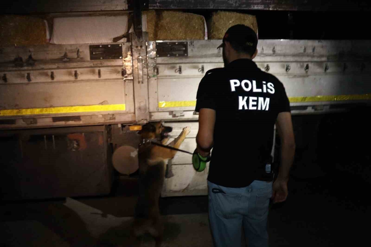 Saman çuvallarının arasında uyuşturucu sevkiyatı polise takıldı

