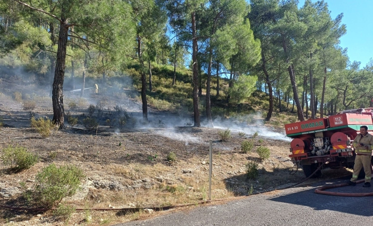 Erdemli ’de vadide çıkan orman yangını, büyümeden söndürüldü
