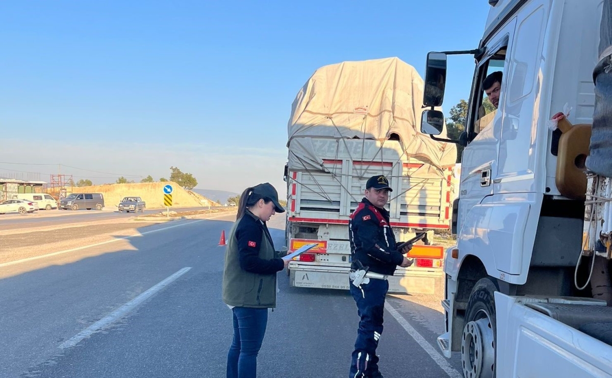 Silifke'de ormanlık alanlarda önleme aramaları sürüyor
