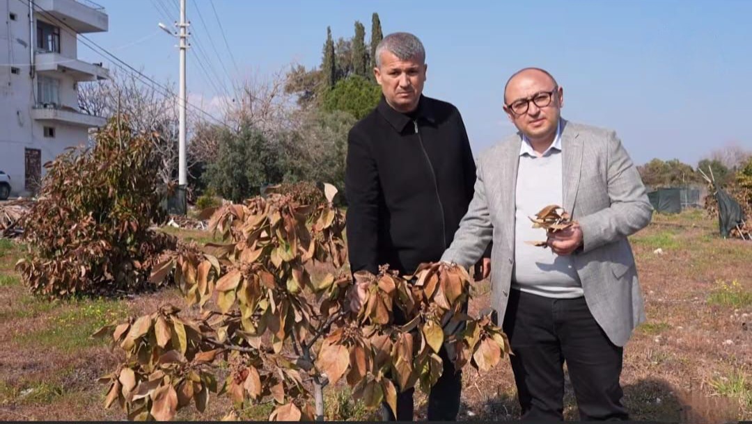 Erdemli Tarım Üreticisinin Gözü Başkan Kara’da: Tarıma Destek Bekleniyor!