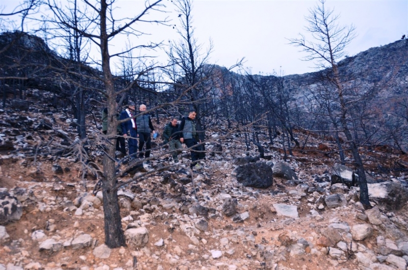 Gülnar'da yanan orman sahaları yeşillendiriliyor   