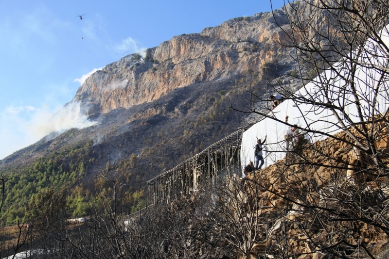 Mersin’deki orman yangınında 75 hektar ormanlık alan ile 25 dönüm sera yandı 
