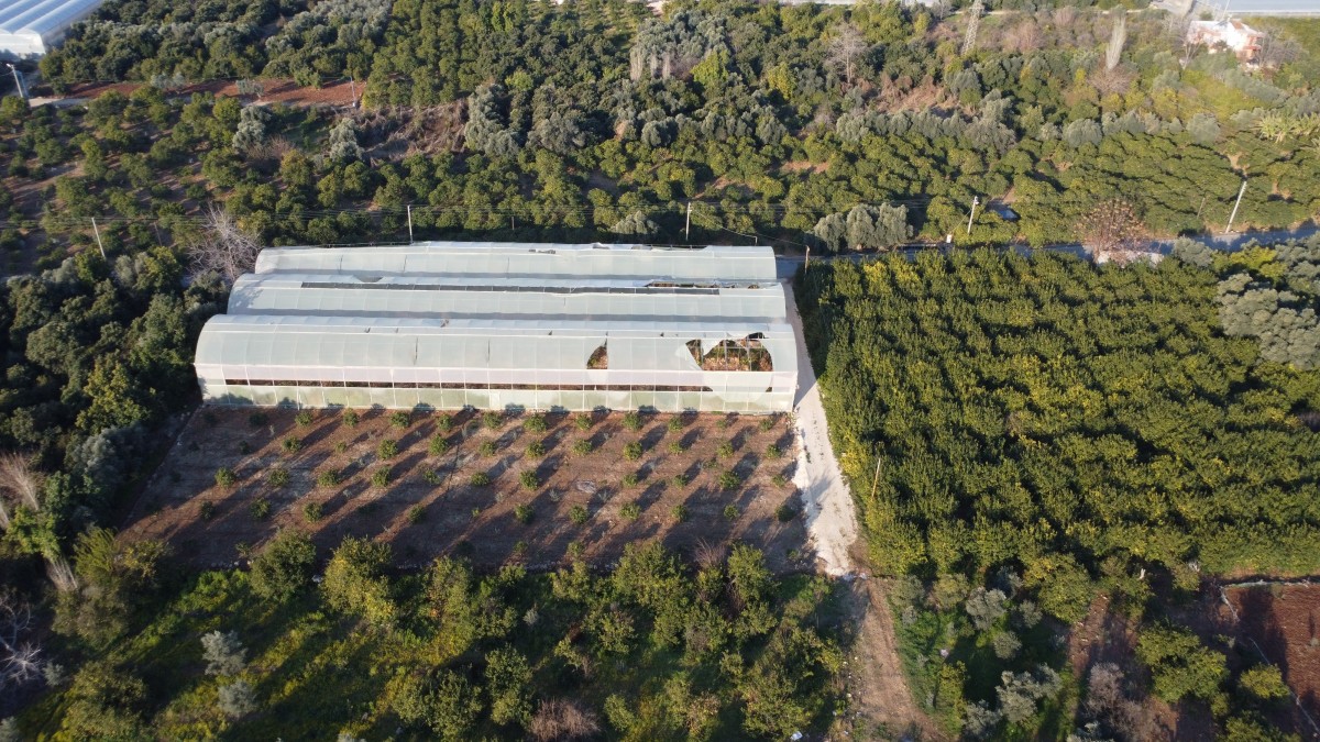 Zirai don çiçek açmış ağaçlara yüzde 100, seralaraki ürüne yüzde 30 zarar verdi
