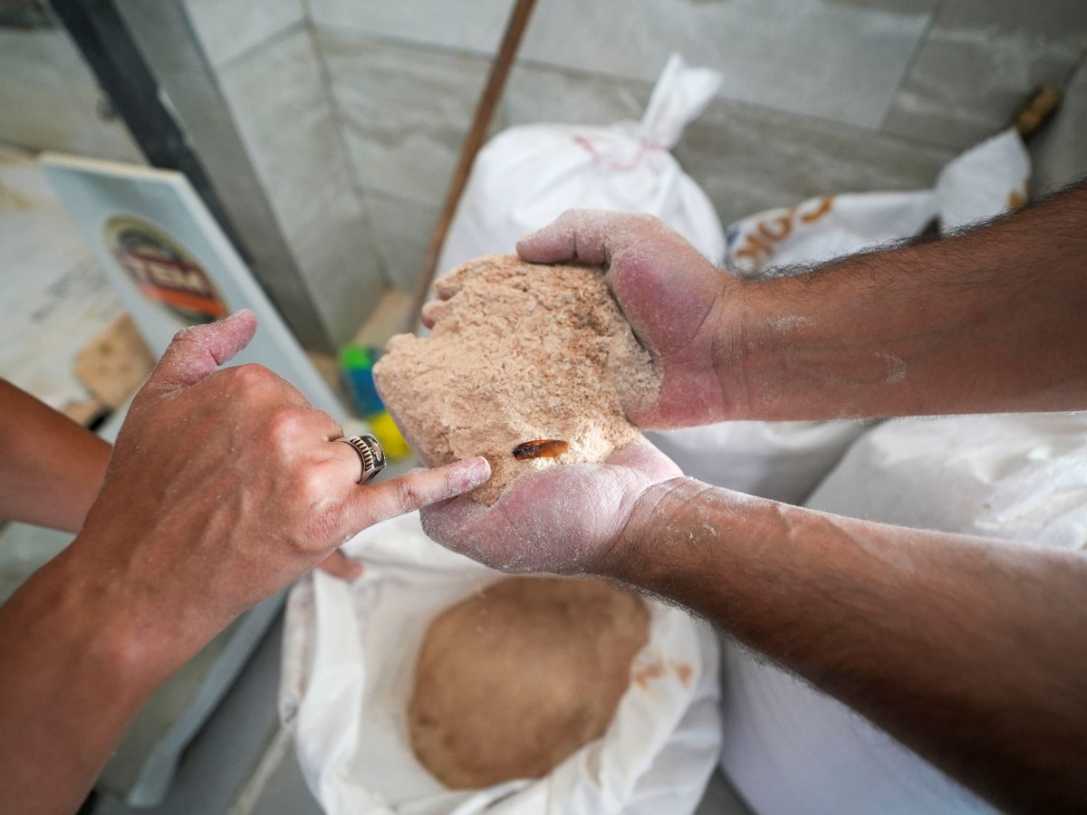 Un fabrikasında şoke eden görüntü: 30 ton böceklenmiş bozuk un ele geçirildi
